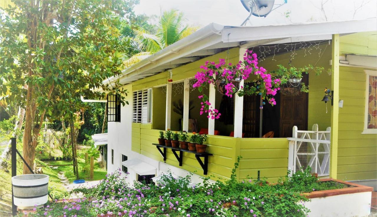 Leatherback Lodge Eco B&B Salybia Exterior photo