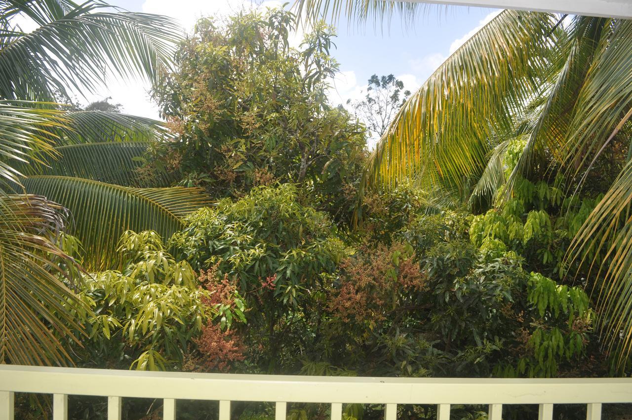 Leatherback Lodge Eco B&B Salybia Exterior photo